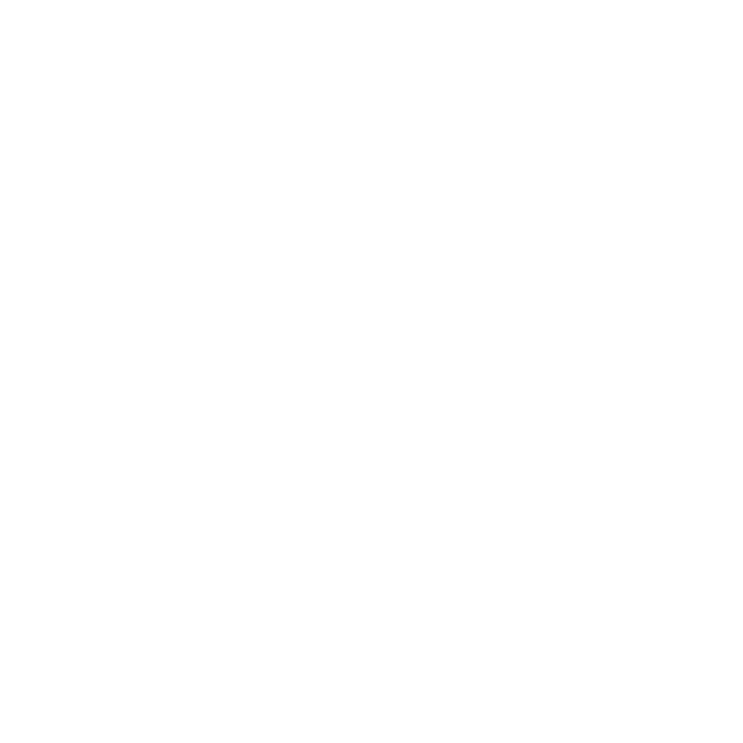 Angelo Zanin